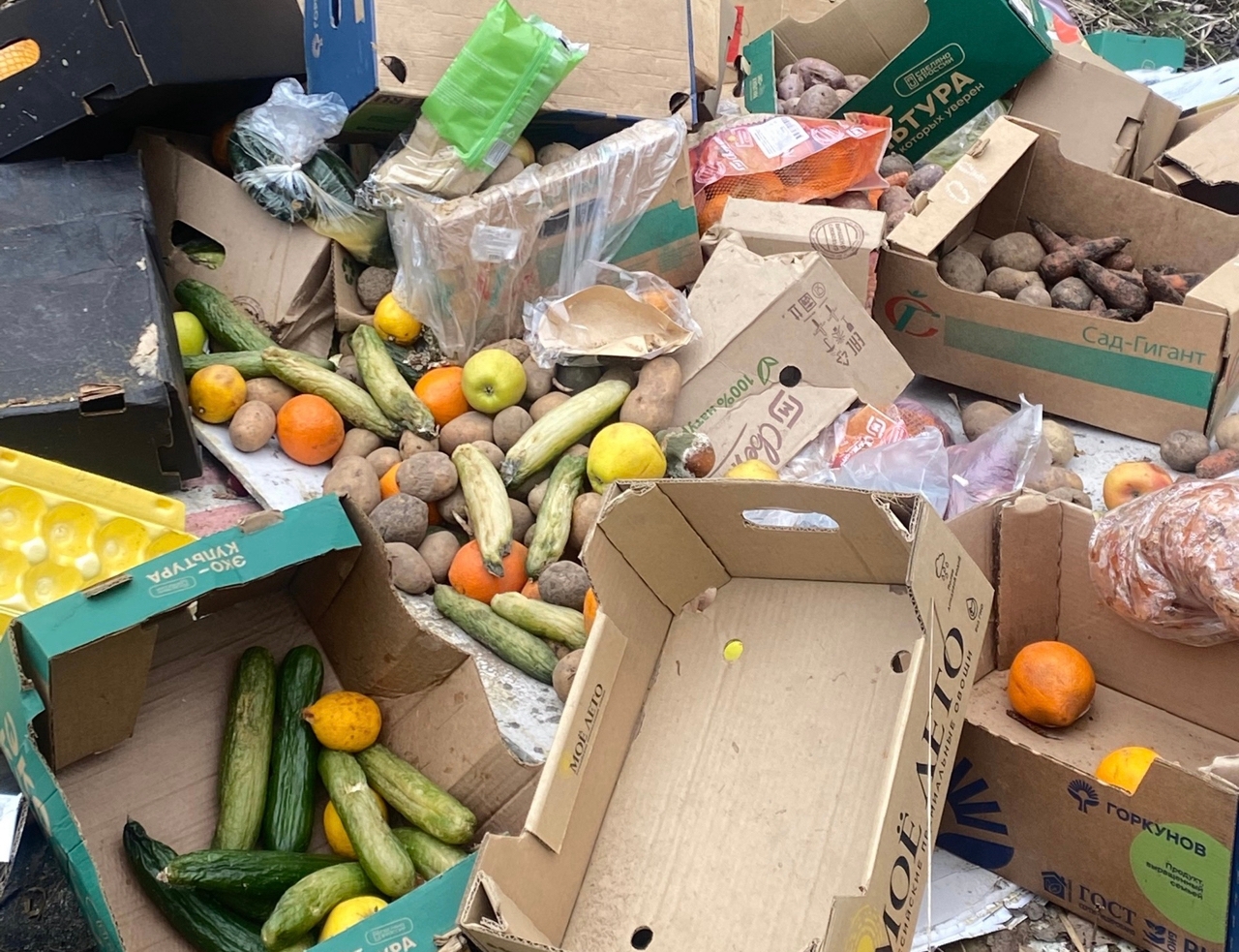 Просрочку свалили в лесу на окраине Петрозаводска