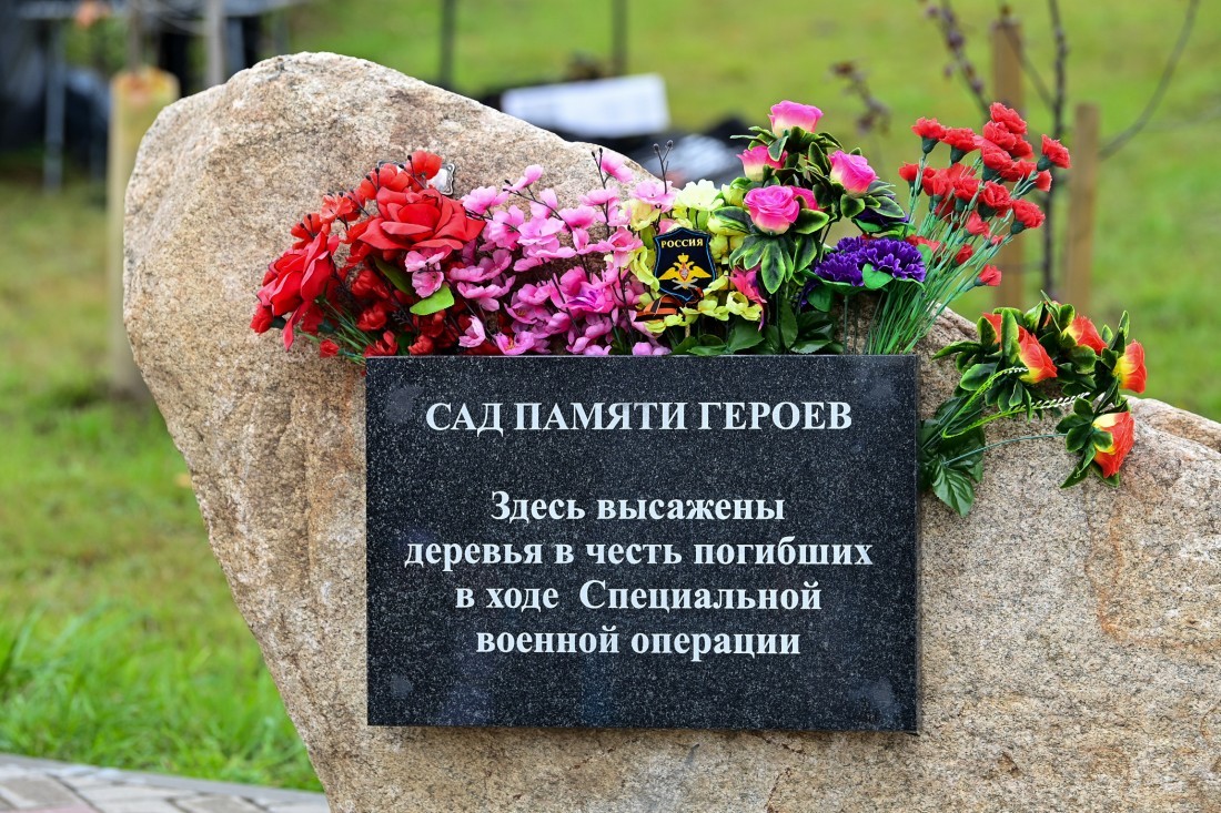 Созданный в Петрозаводске Сад Памяти Героев благоустроят в 2026 году