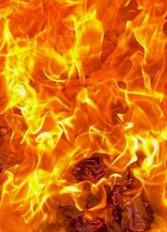 В Питкярантском округе тоже ввели особый противопожарный режим