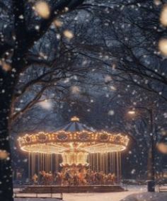 Покататься на каруселях в субботу не смогут жители и гости Петрозаводска