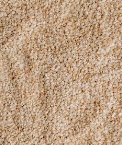 Небезопасный кунжут привезли в Карелию