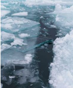 Снова трагедии на озерах: в Лоухском районе утонули двое мужчин