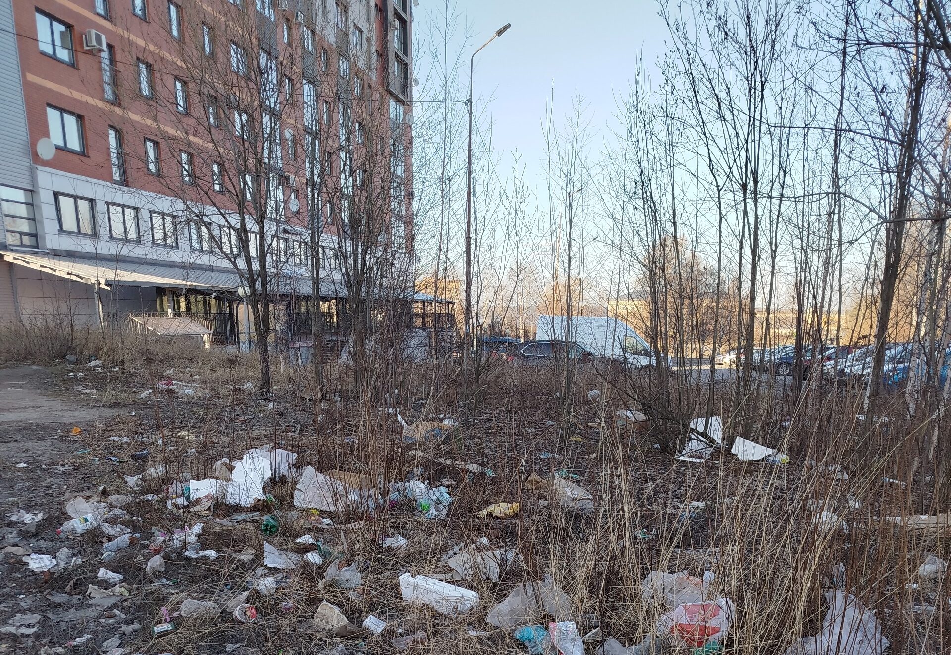 Жители района в Петрозаводске пожаловались на обилие мусора вокруг школ