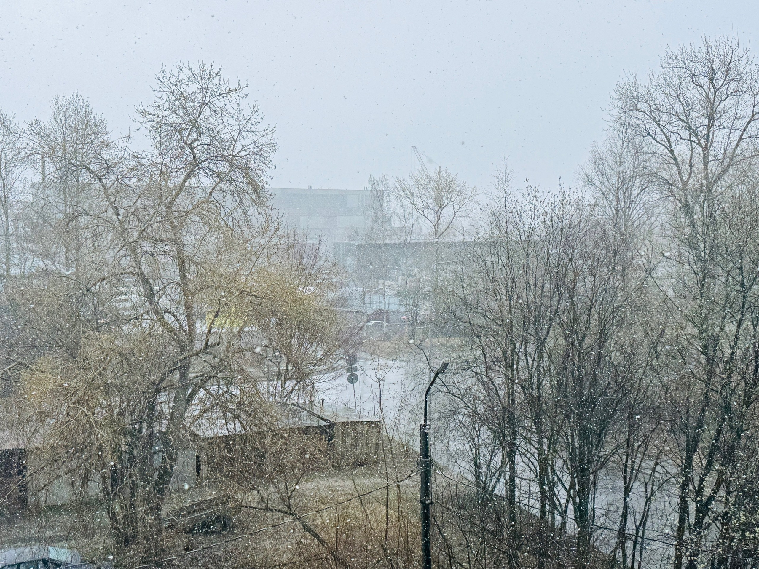 Снегопад обрушился на Петрозаводск