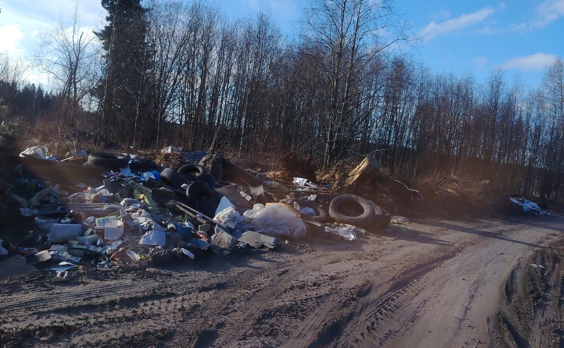 Проезд Дорожников завалили мусором в Петрозаводске