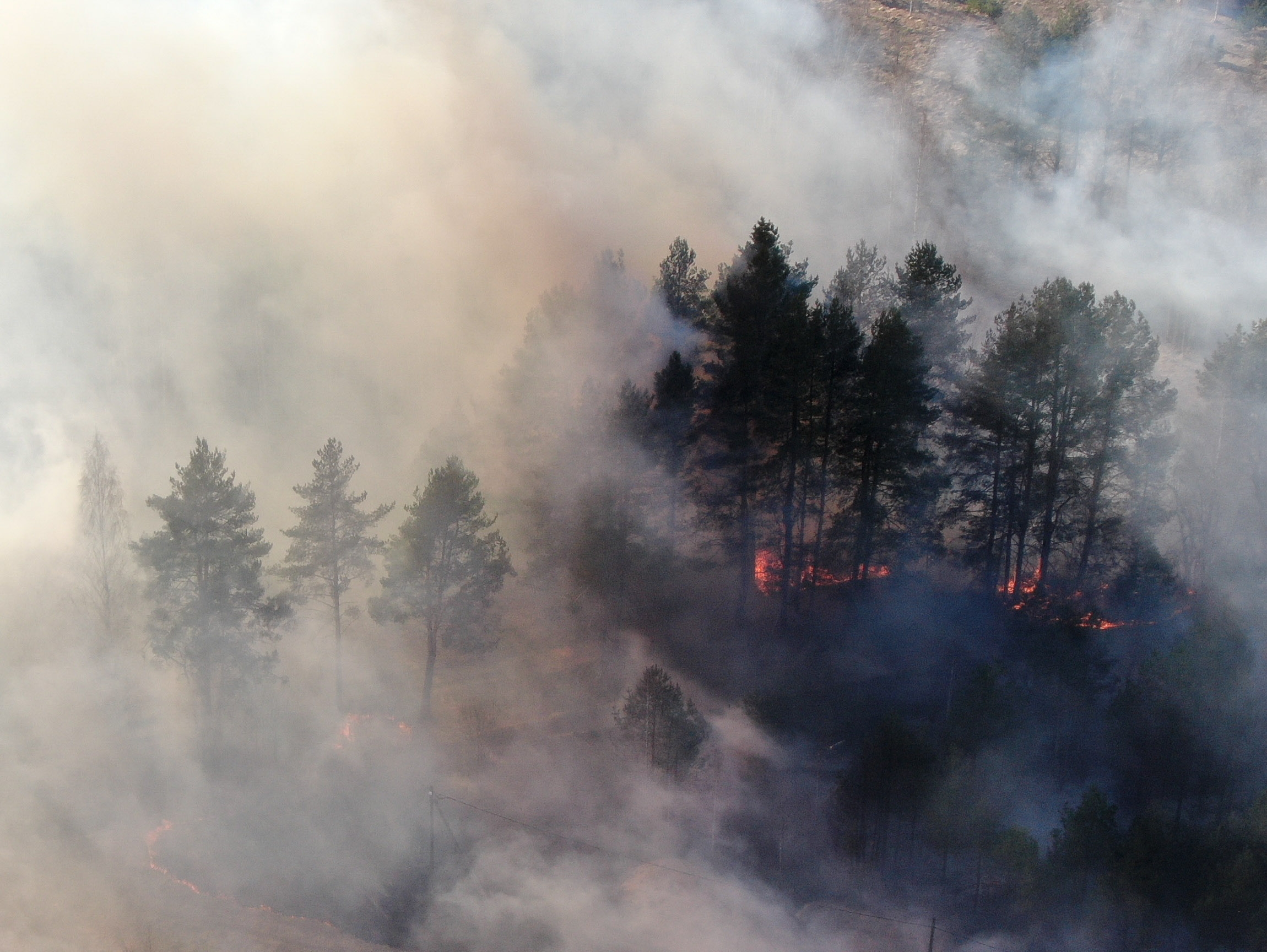 Лесной заповедник оказался в окружении пожаров по соседству с Карелией