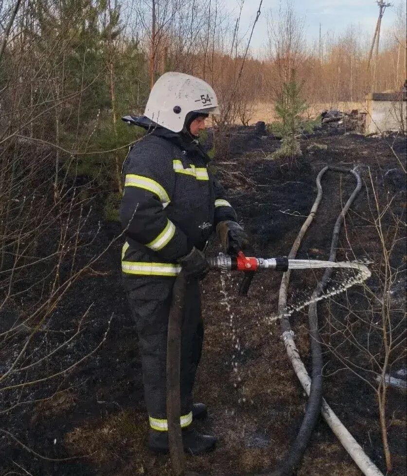 Полыхающая трава угрожала перекинуться на котельную в посёлке Пяльма