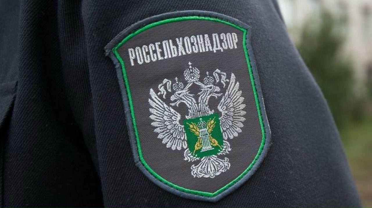 Россельхознадзор уже через суд ищет управу на хозяйку скандальной фермы с останками животных в Заозерье