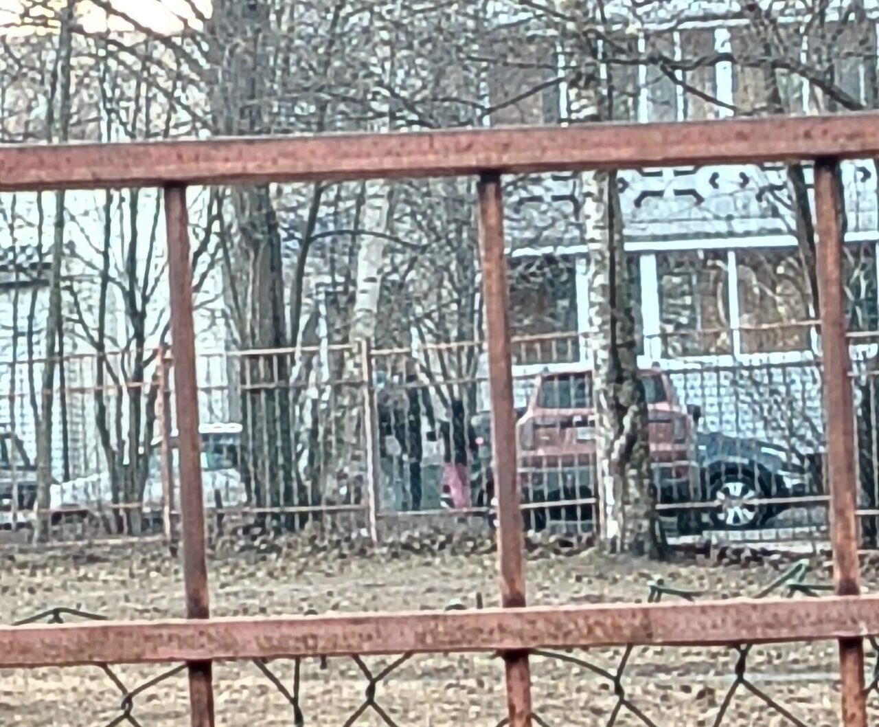 Мужчина разбрасывал петарды в густонаселенном районе Петрозаводска