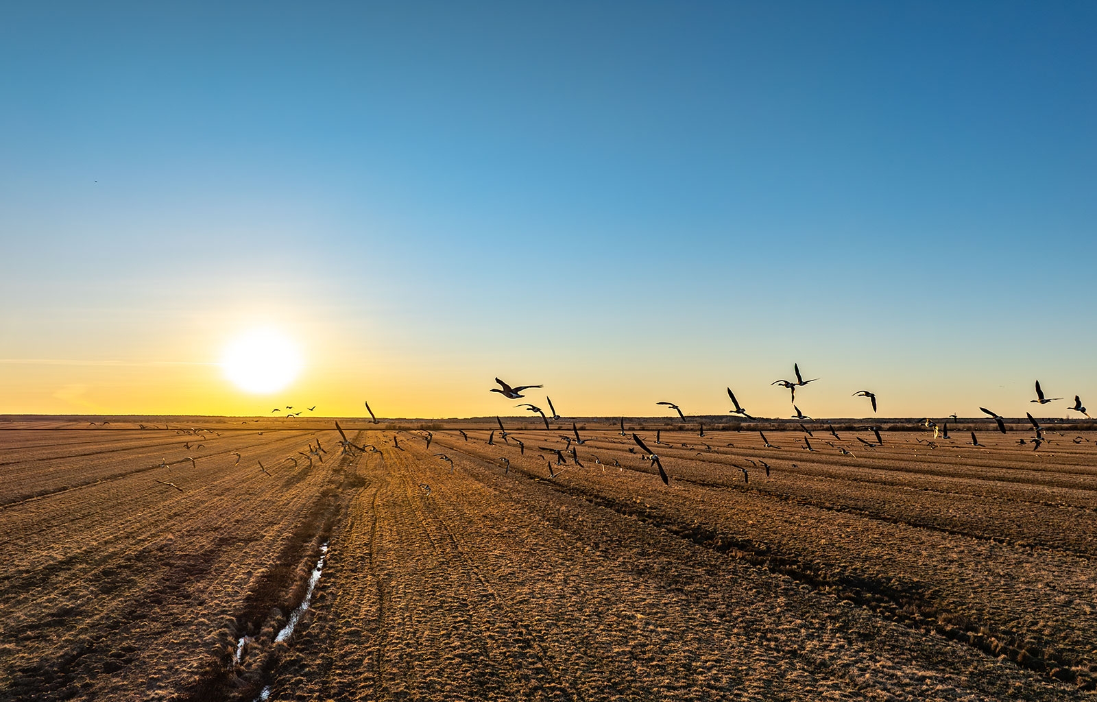 Какая погода будет в Карелии на майских праздниках – прогноз синоптиков