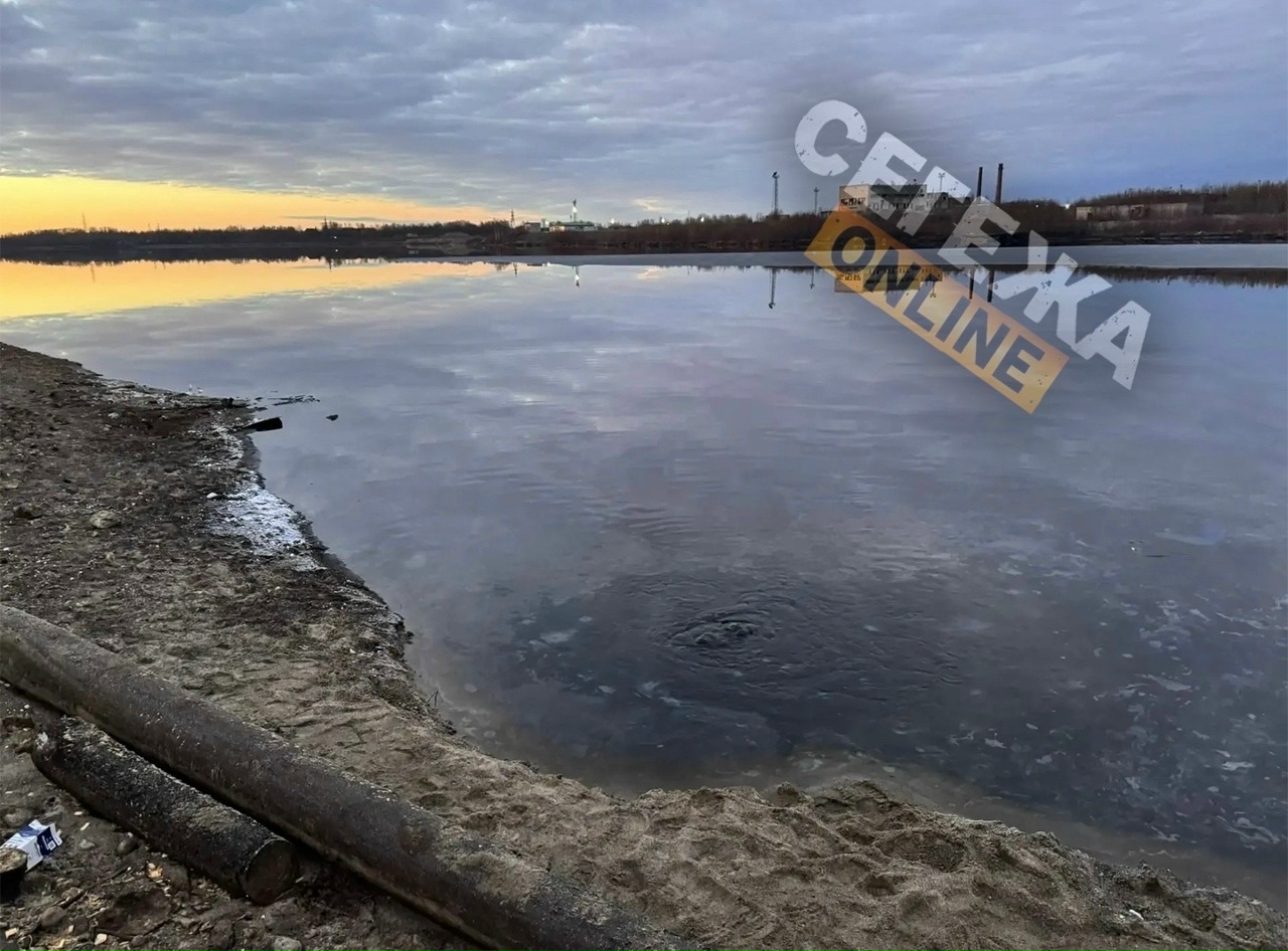 Выбросы таллового масла с градообразующего предприятия Сегежи заметили в местном озере