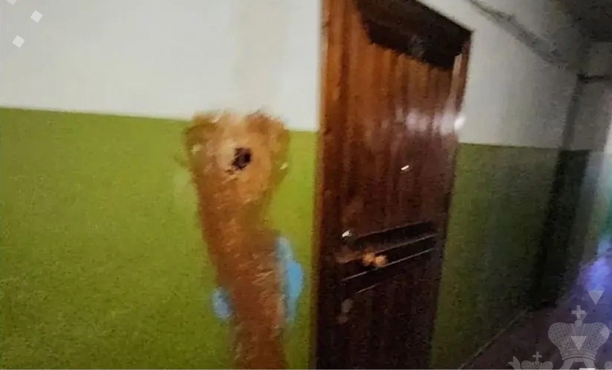 Бастрыкин спросил, нашли ли власти Петрозаводска нормальную квартиру для семьи из аварийного дома