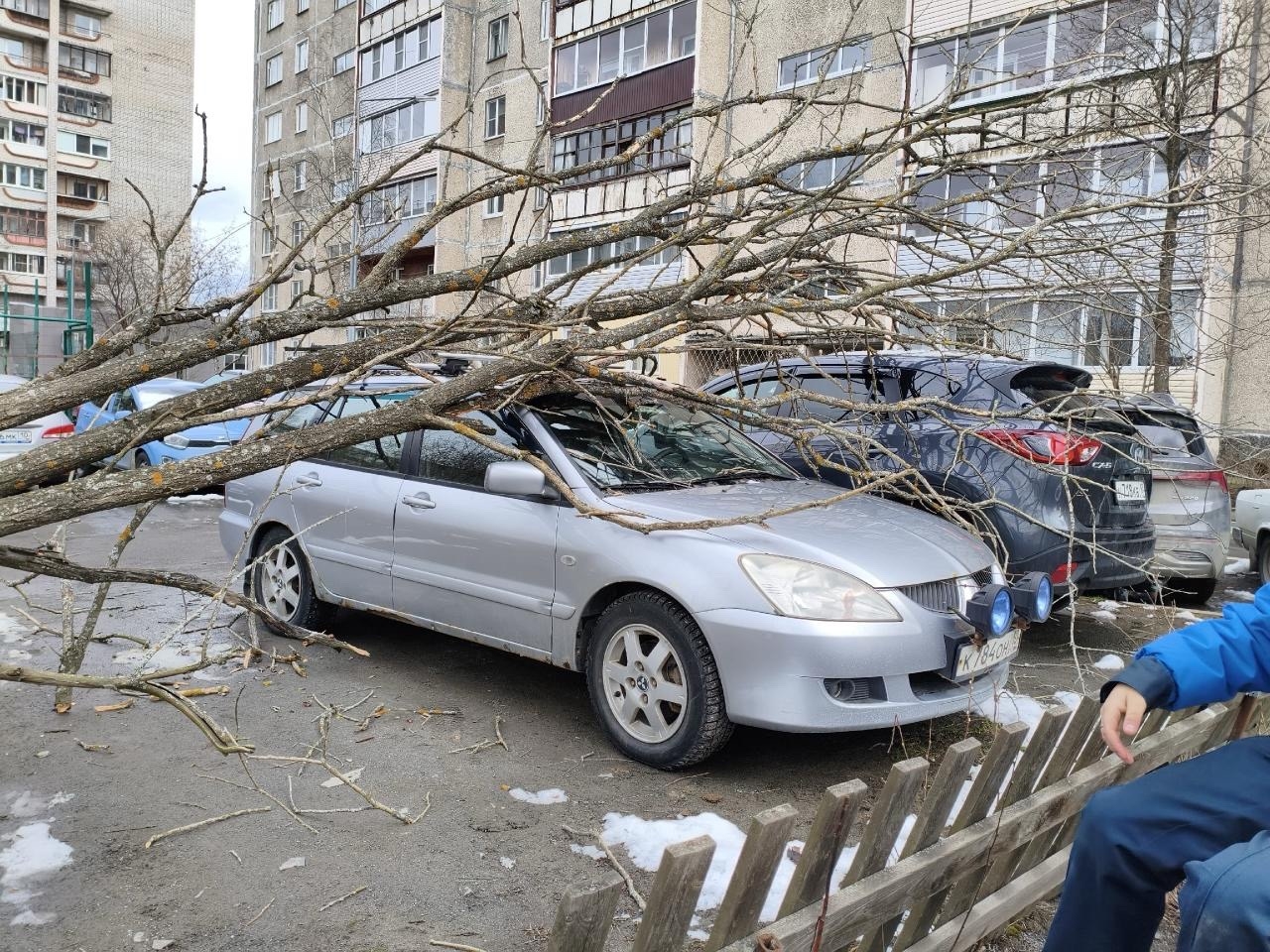 Дерево обрушилось на машину из-за сильного ветра в Петрозаводске