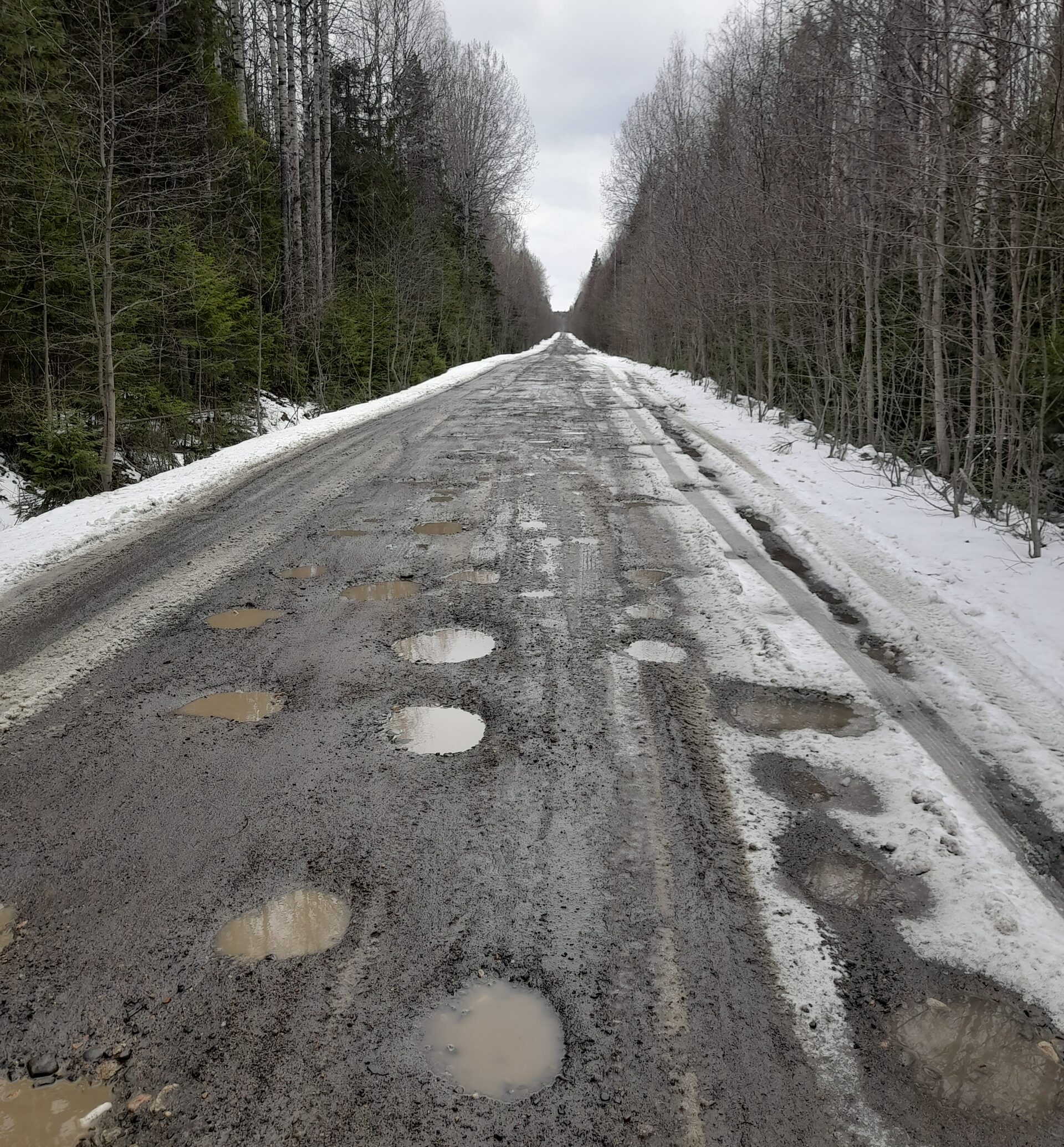 Автобус из Петрозаводска перестал заезжать в дачный кооператив из-за плохой дороги