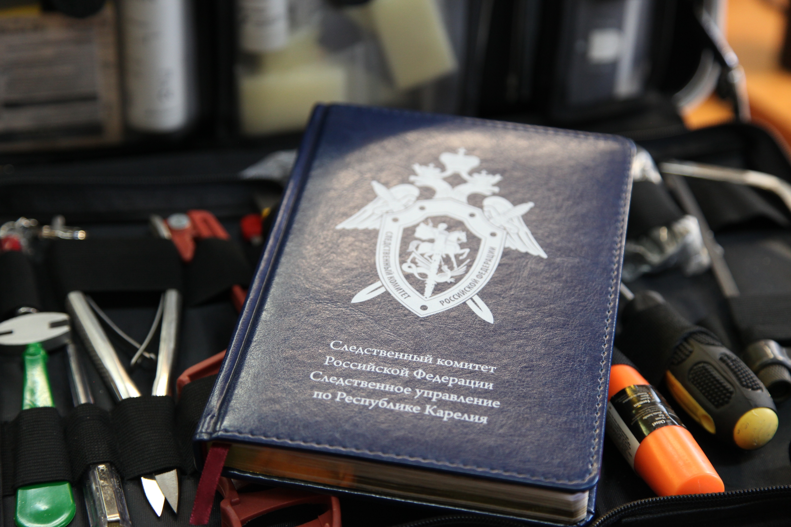 Насмерть забивший знакомую житель Суоярви ждёт суда