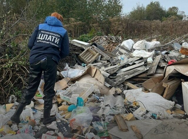 Росприроднадзор потребовал возместить миллионный вред почвам от гигантской свалки в Медвежьегорском районе