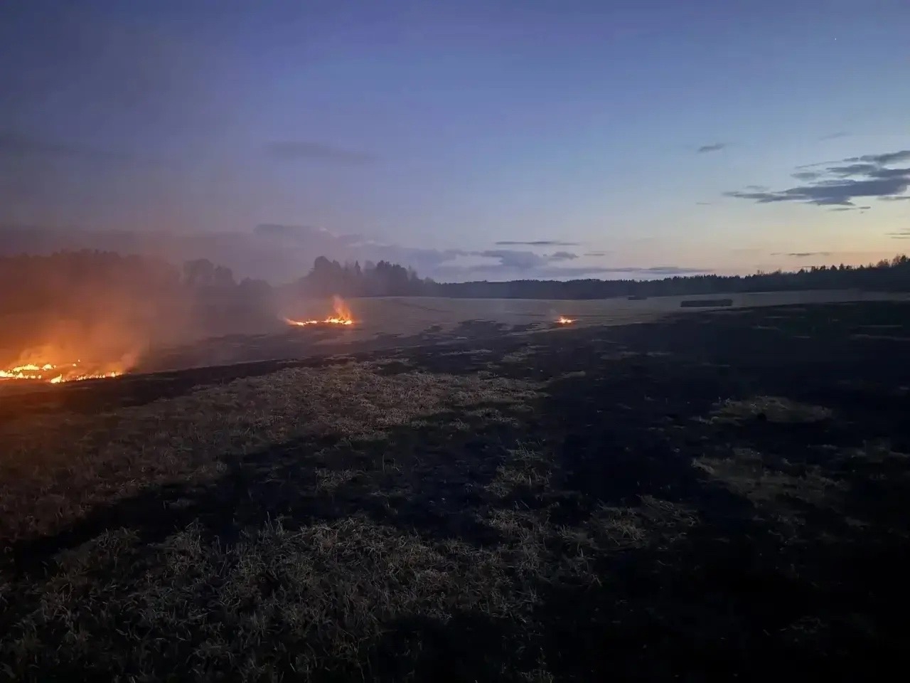 В Карелии сгорело почти 10 гектаров леса за неделю