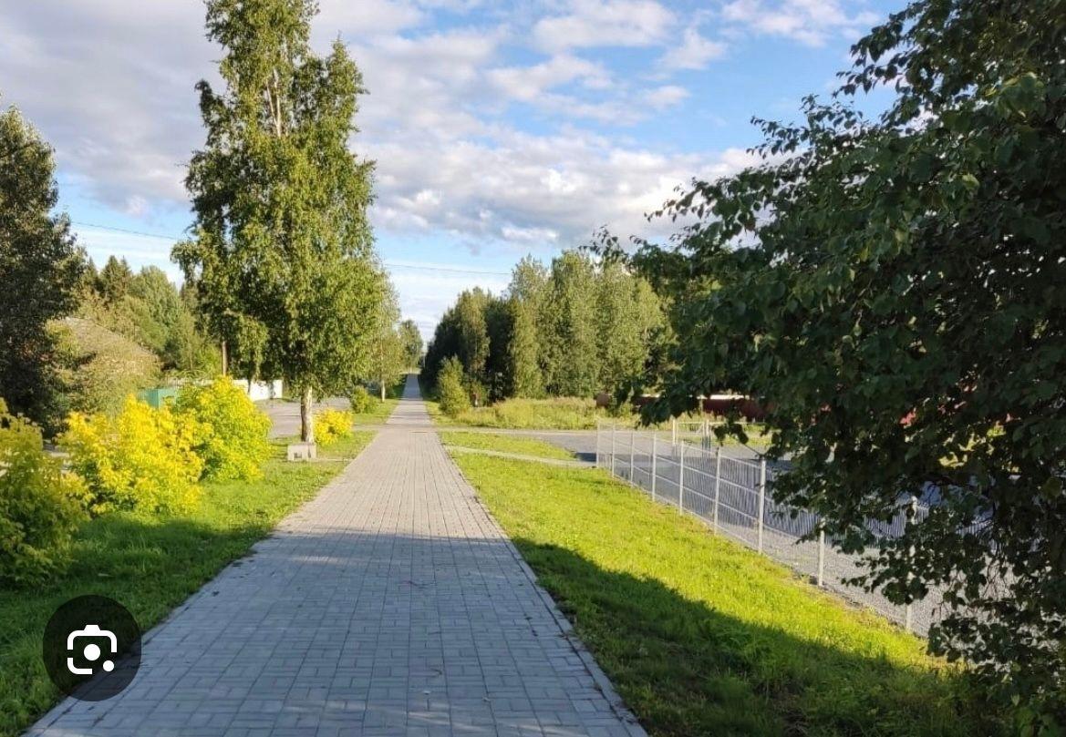 Жители карельского поселка требуют обработать пешеходный участок от клещей