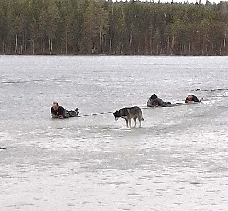 Мужчина провалился под лед в Лоухском районе