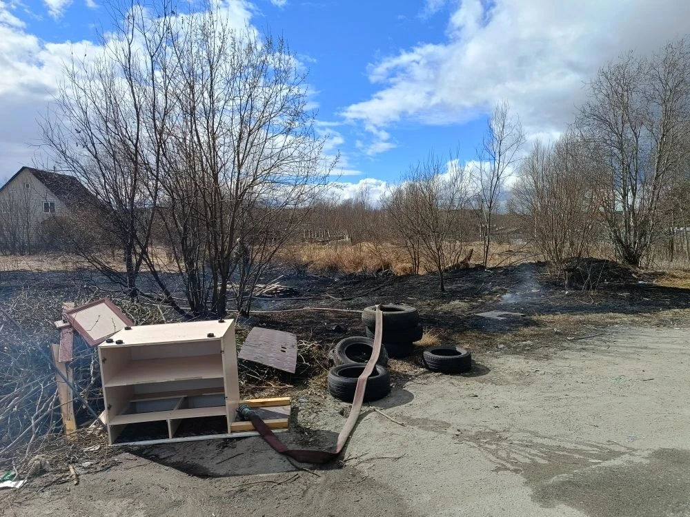 Полыхающие мусор и трава угрожали жилым домам в поселке Карелии