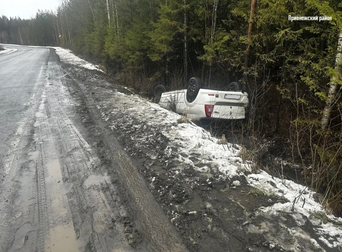 Слетевшая с дороги иномарка перевернулась в Прионежье