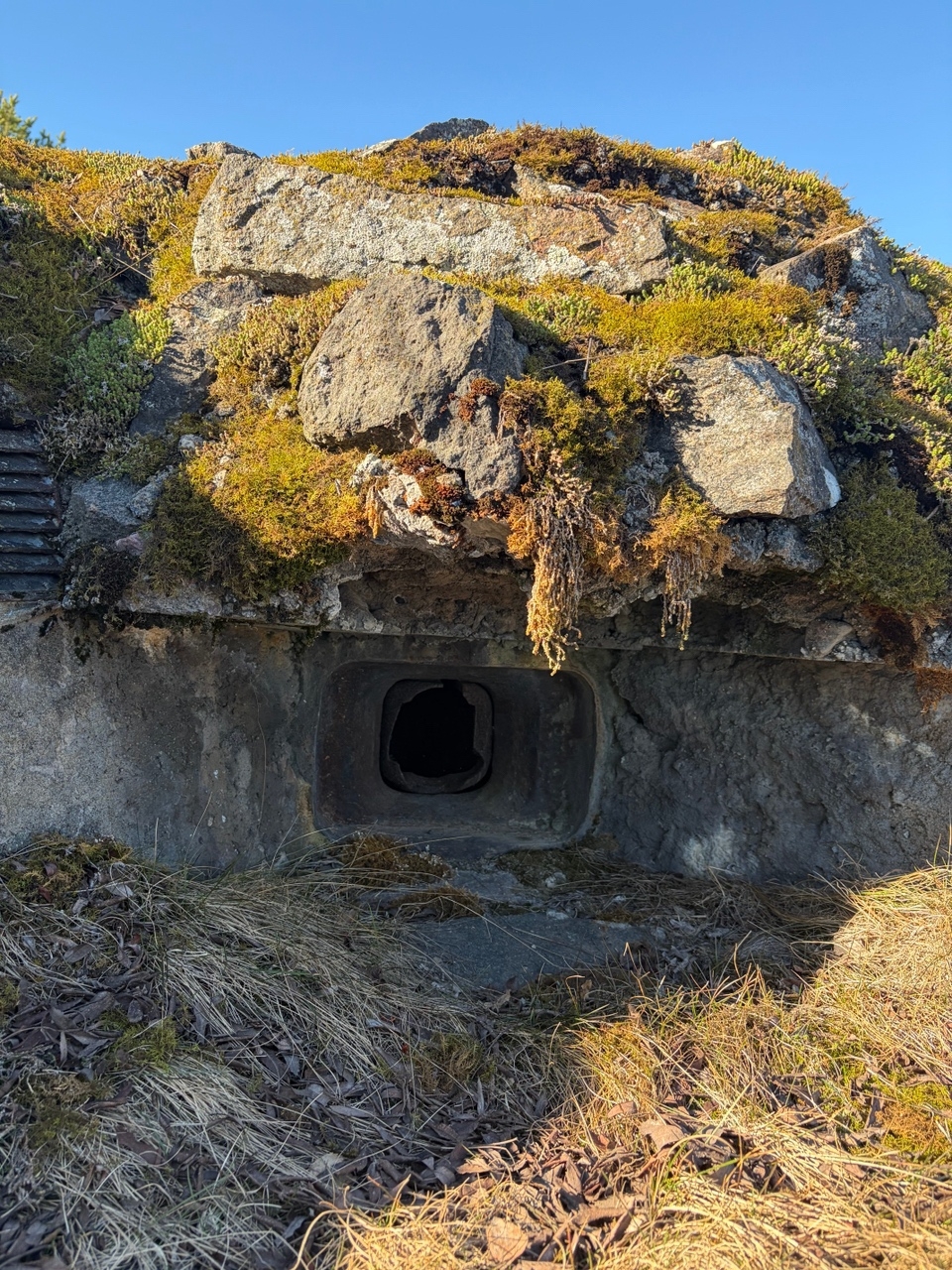 Туристам предложили маршруты по местам боевой славы в Карелии