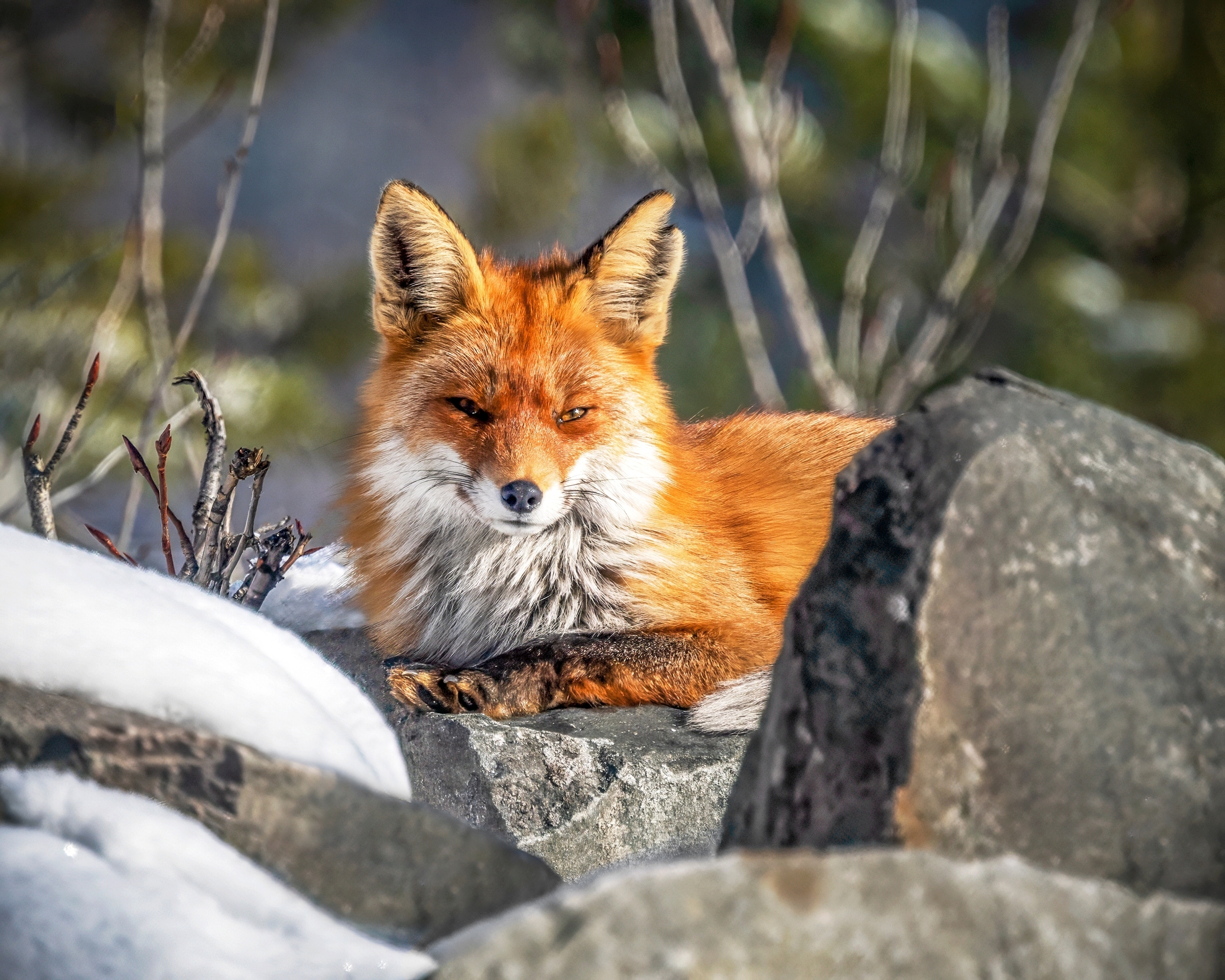 Узнали, в каких регионах России на Пасху потеплеет до +20 градусов