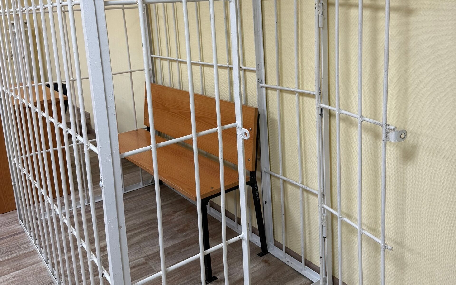 В Карелии 19-летний педофил надолго отправится за решетку