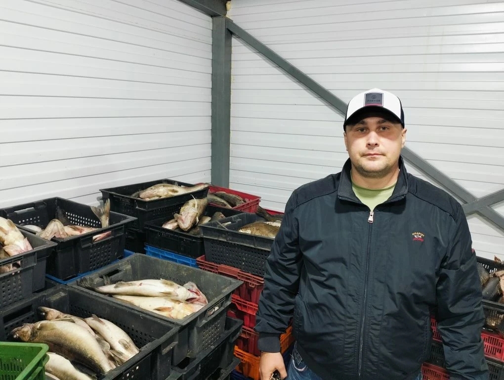 Карельский предприниматель планирует экспортировать рыбу в Беларусь