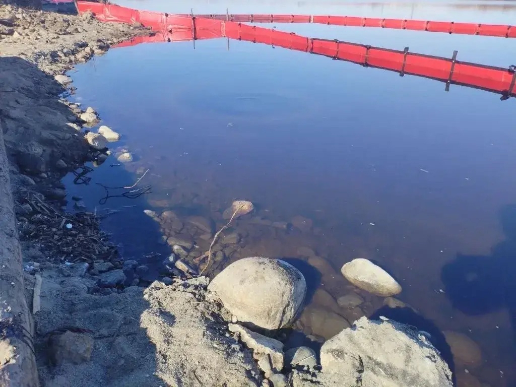 Выбросы таллового масла с ЦБК Сегежи полностью убрали в местном озере