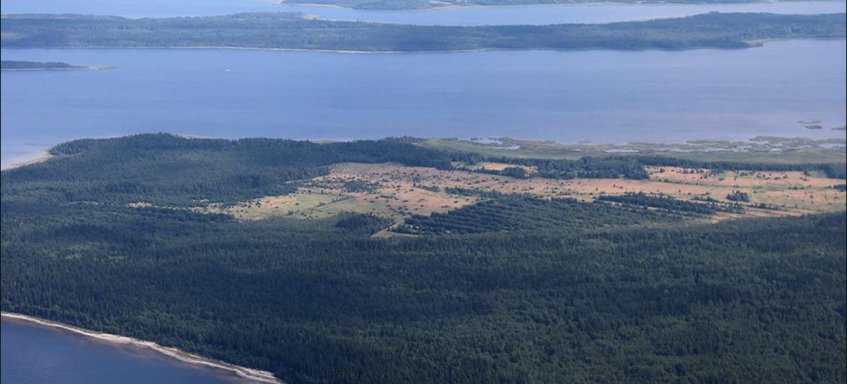 Карельский политолог прокомментировал незаконную аренду острова в Питкярантском районе
