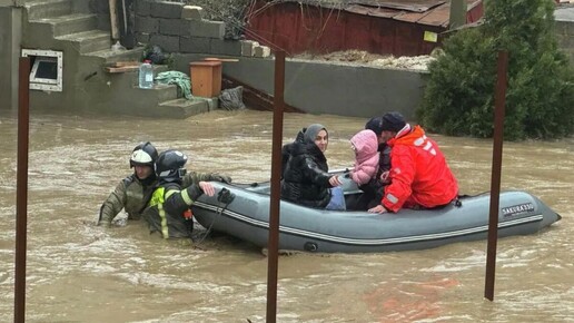 Авито берет на себя расходы на доставку товаров в Дагестан