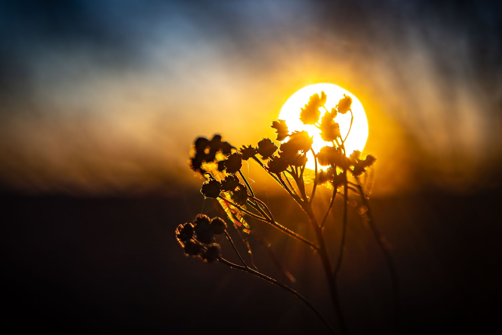 Синоптики рассказали о погоде в Карелии на четверг