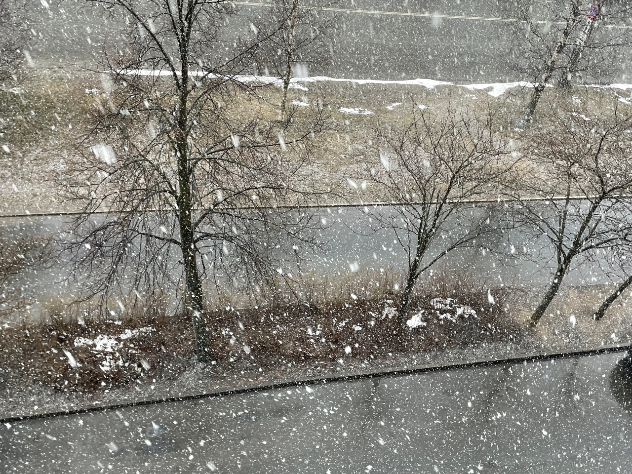 Синоптики экстренно предупредили о налипании мокрого снега в Карелии