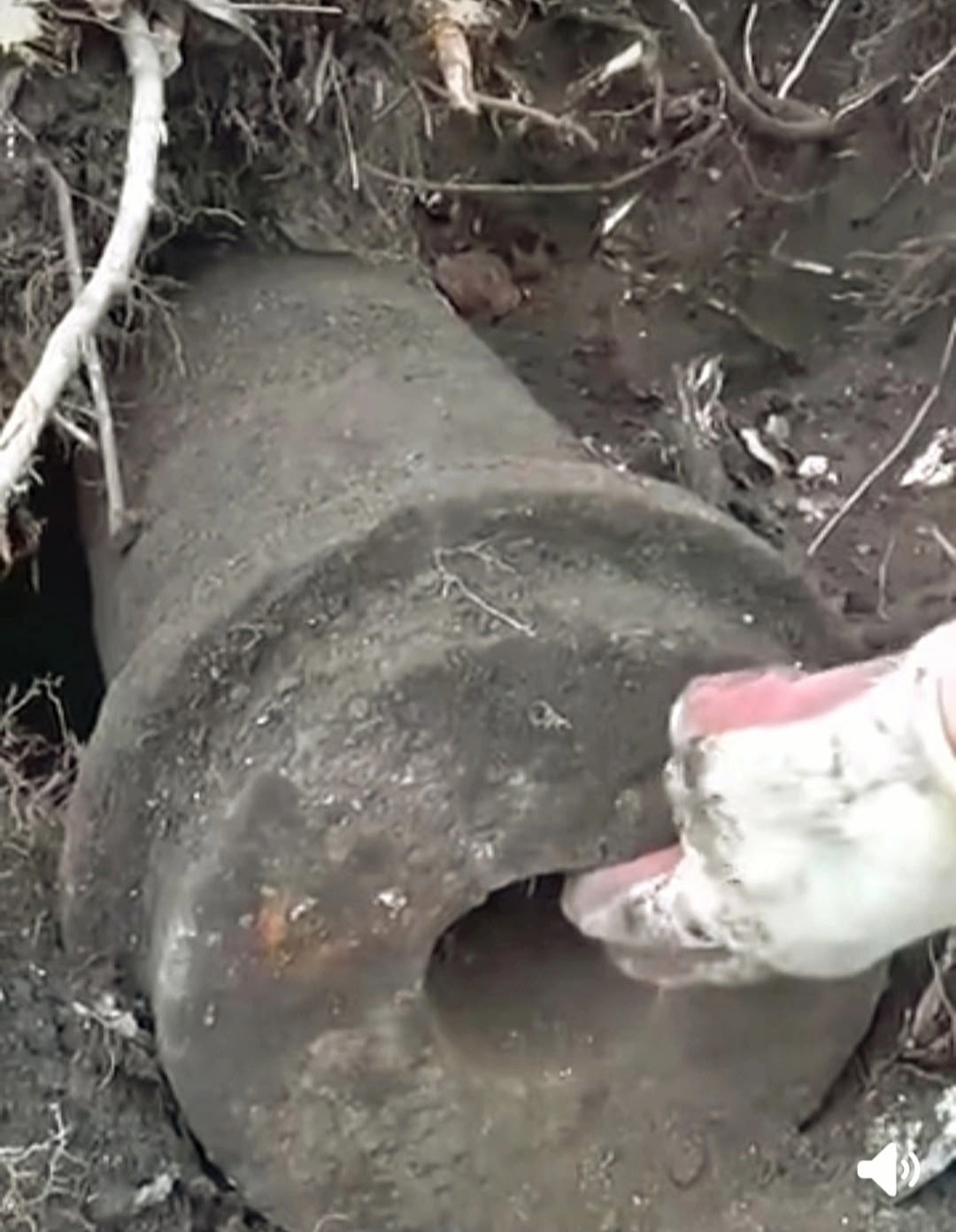 Находка старинных пушек в Питкяранте оказалась первоапрельской шуткой