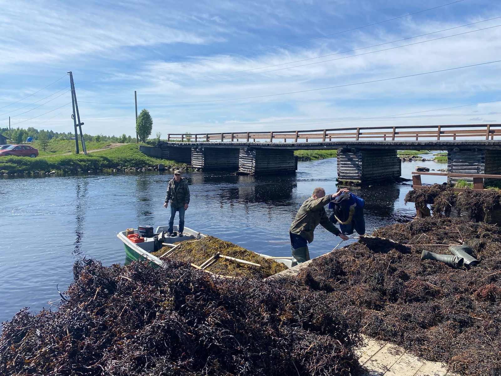 Ассоциацию добытчиков и переработчиков водорослей создали в Карелии