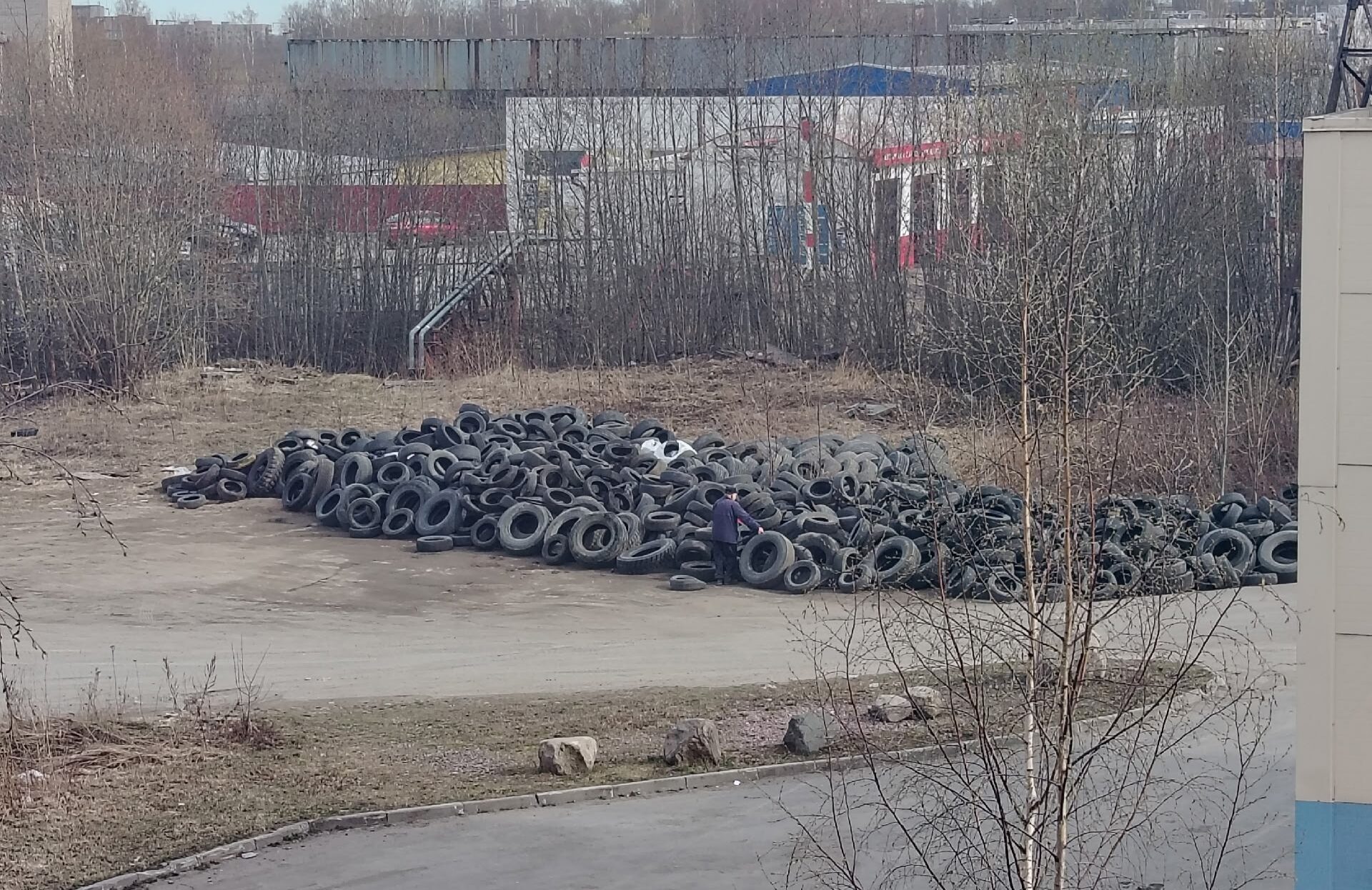 Свалка из покрышек выросла в отдаленном районе Петрозаводска