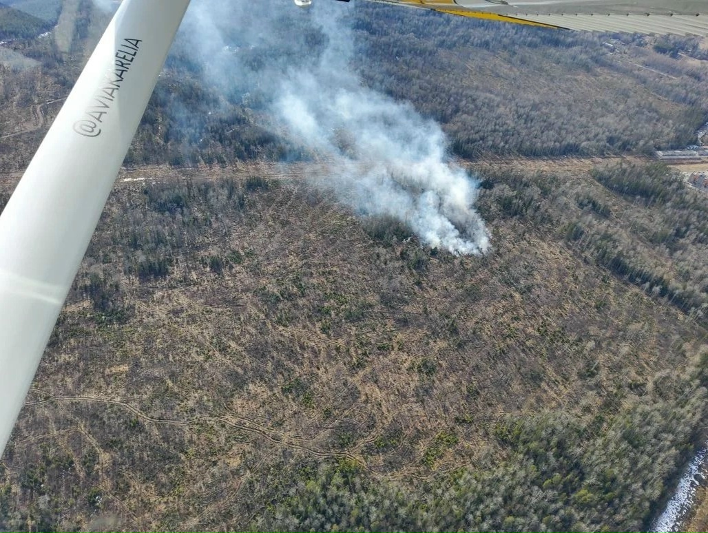 Три лесных пожара потушили за минувшие выходные в Карелии