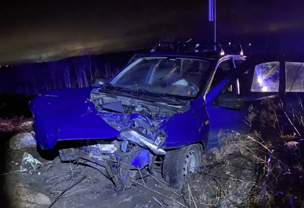 Легковушка вылетела в кювет в Прионежском районе