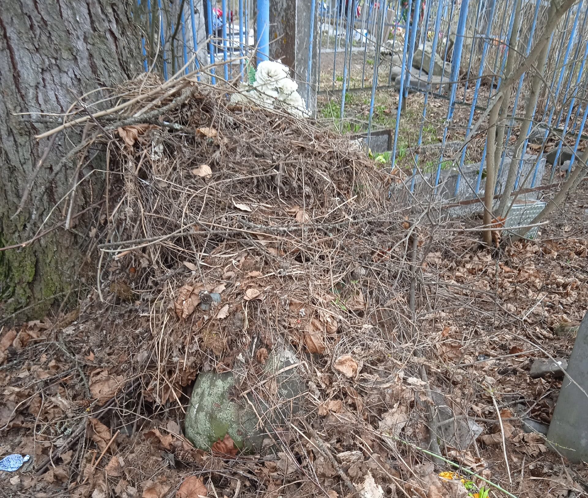 Посетители кладбища в Кондопоге устроили свалки мусора вокруг могил