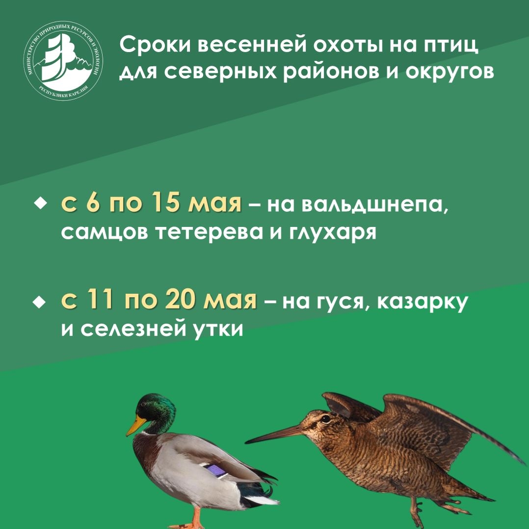 Инспекторы в Карелии усилят контроль за охотниками