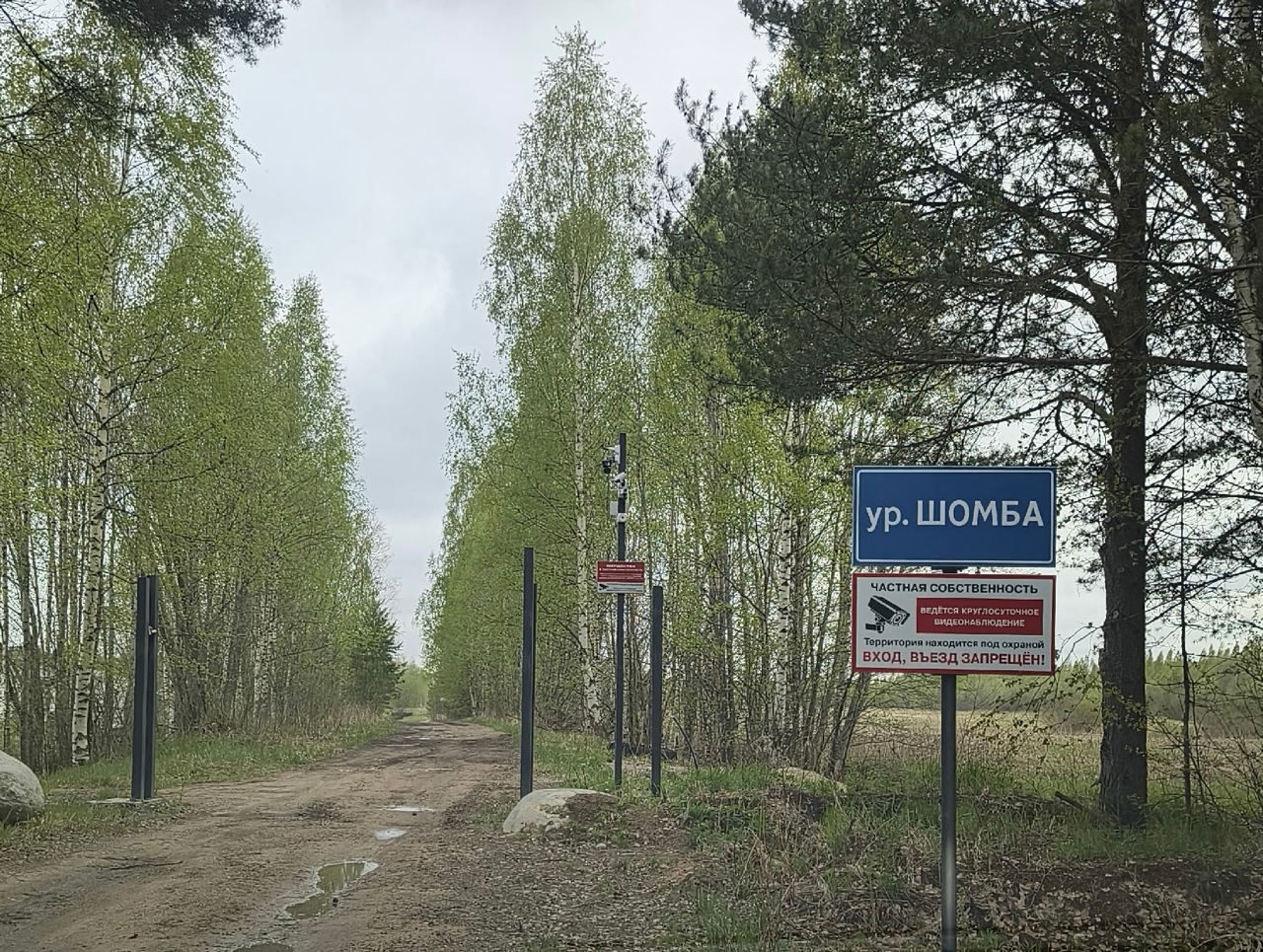 Местным жителям запретили проход и проезд к популярному пляжу на лесном озере в Карелии