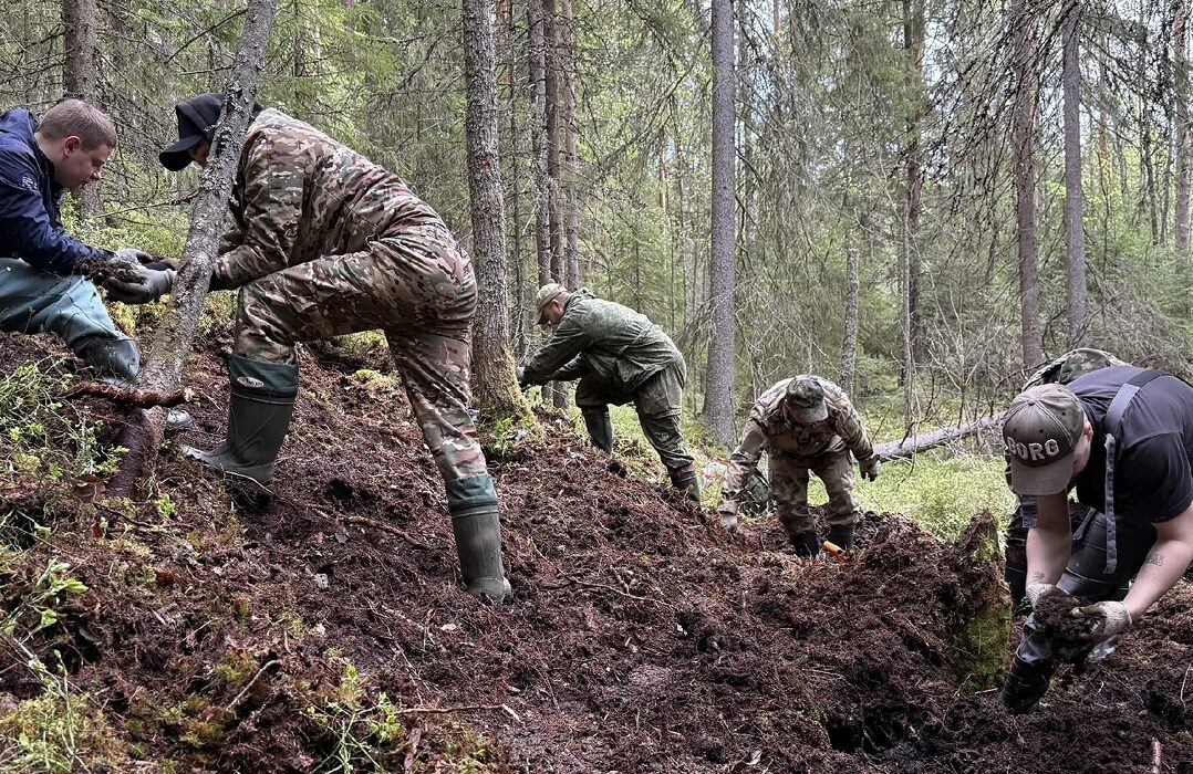 Останки семерых красноармейцев обнаружили в Пряжинском районе Карелии