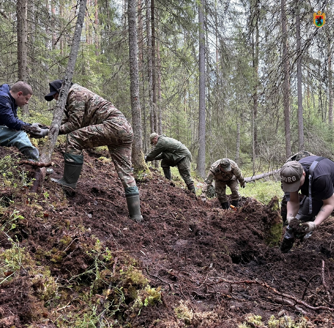 Останки семерых красноармейцев обнаружили в Пряжинском районе Карелии