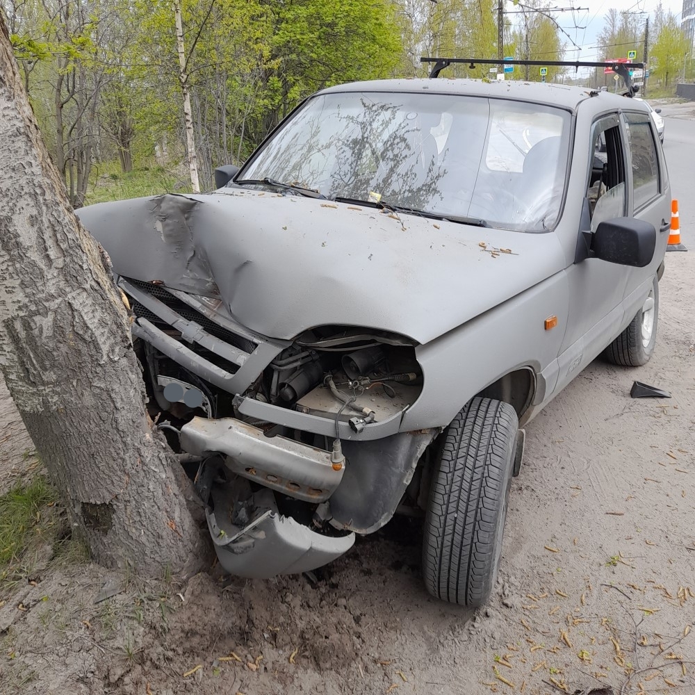 В Петрозаводске водитель без прав врезался в дерево