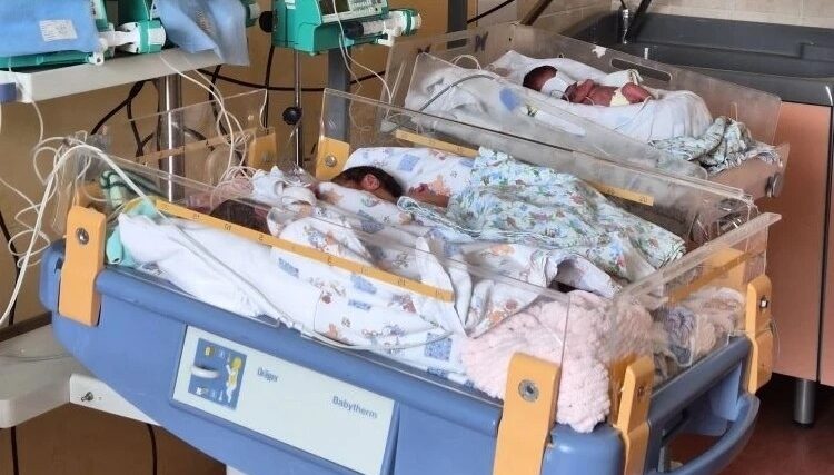 Тройня родилась в семье из Олонца