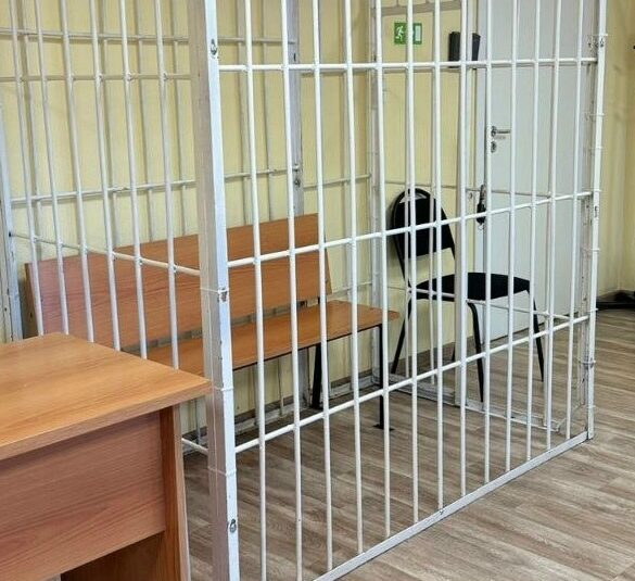 Юношу в Карелии заключили под стражу за сексуальное насилие над ребенком
