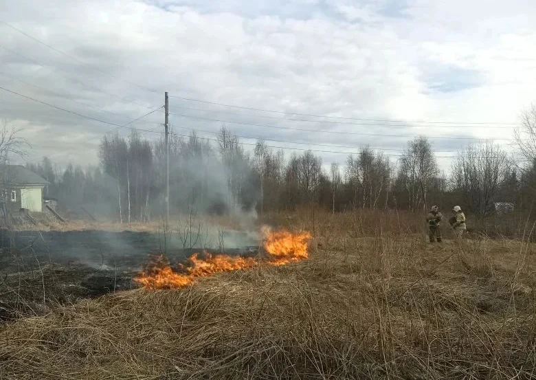 Сухая трава полыхала в поселке Карелии