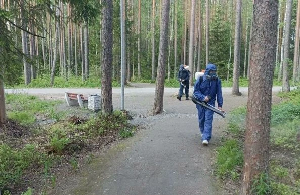 В Петрозаводске обработают от клещей более 41 гектара территорий
