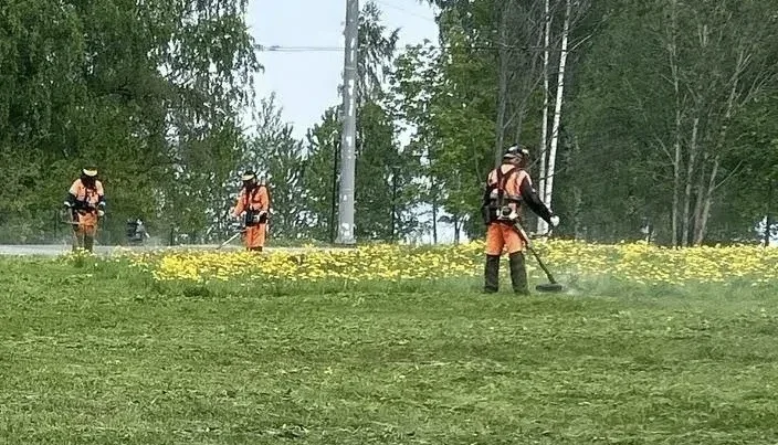 В Петрозаводске приступили к сезонному покосу травы